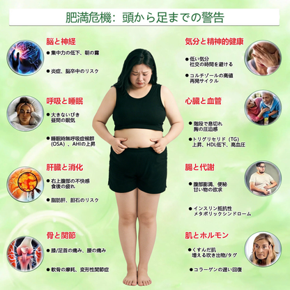 👑公式旗艦店 / Solaroza® & NAD+ 10-in-1 ナノ強化フォーミュラー 肥満、肌のたるみ、糖尿病、睡眠時無呼吸症候群、関節の悩み、その他健康上の懸念にアプローチ 🛡️ 💛